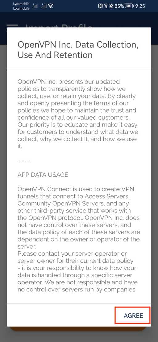 接受 openvpn 应用程序中的使用条款