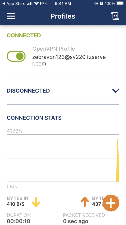 Openvpn profil detayları