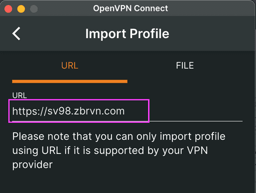 OpenVPN Connect Client installation