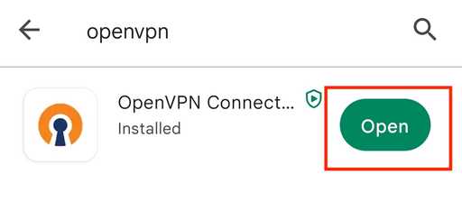 openvpn playstore 打开 openvpn 应用程序