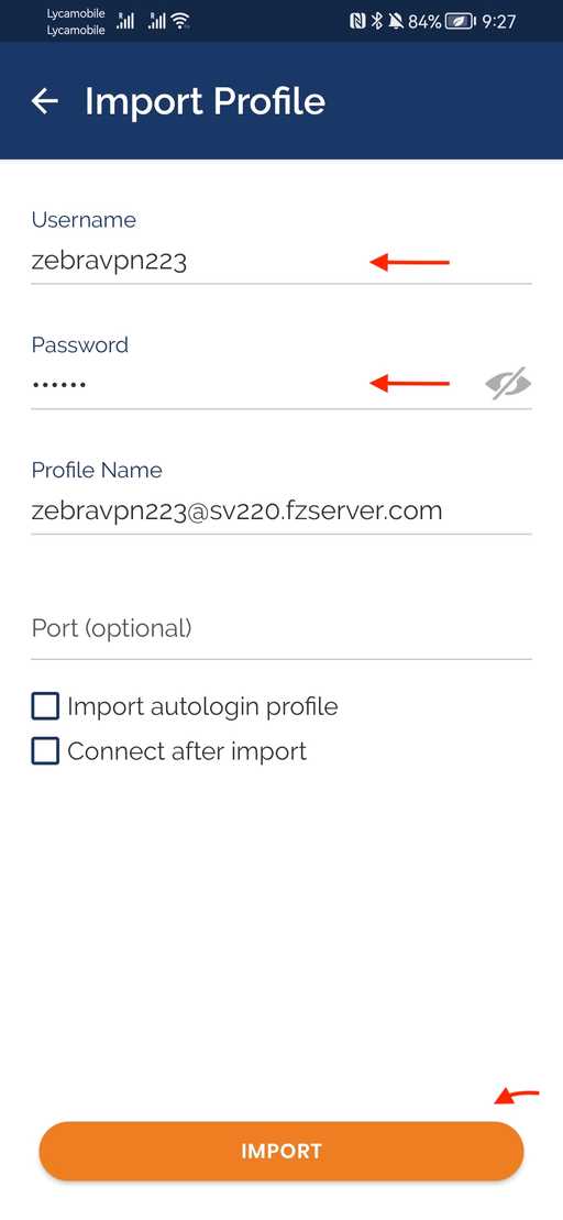 Openvpn profile details