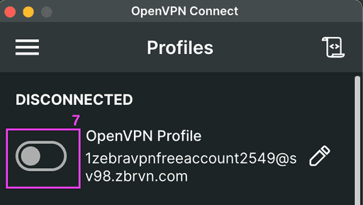 OpenVPN Connect Client installation